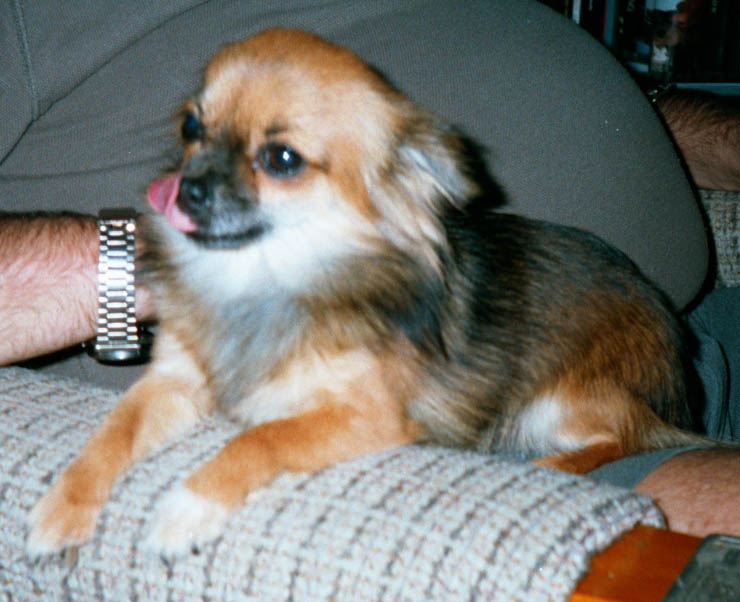 Pic of Gypsy