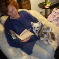 Missy and Percy - OK, let us have a look at what you are reading!