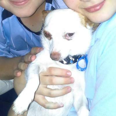 Archie loves to be cuddled.