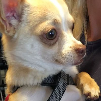 Arnold has chosen a new Mum, and is off to a well deserved loving forever home. (Sunday, 05th of February 2017)