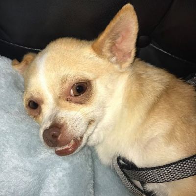 Arnold smiles for the camera! (Monday, 24th of April 2017)