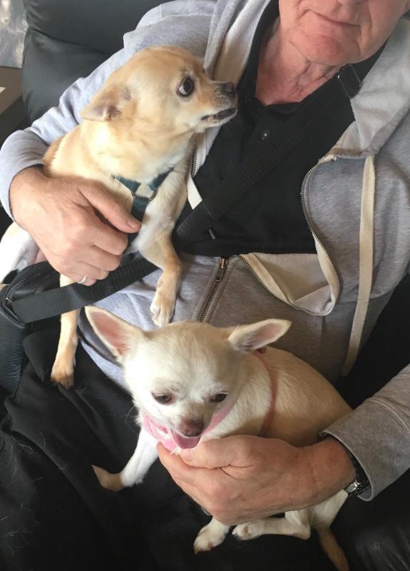 Ben (left) and Bonnie (right) have chosen their new family! (Sunday, 17th of November 2019)