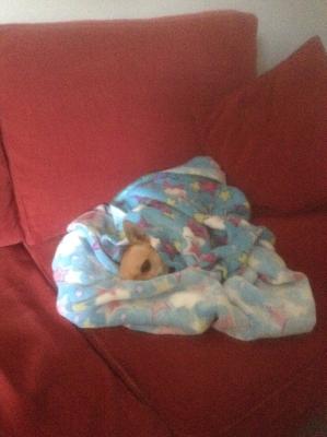 Breezy in her snug.