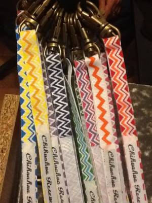 Amazing Chihuahua Rescue Victoria leashes we received from Chucky’s new Mum!