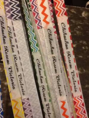 Amazing Chihuahua Rescue Victoria leashes we received from Chucky’s new Mum!