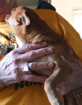 Frankie was called Carrie when we put her up for adoption in May, 2014. (Monday, 12th of May 2014)