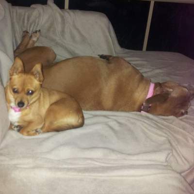 Frankie's favourite time is hanging with her new big sister. (Wednesday, 18th of June 2014)