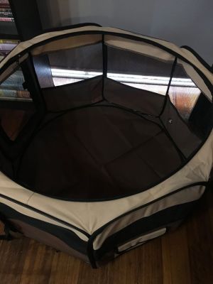 This playpen is just perfect for Freddie (Friday, 29th of September 2017)