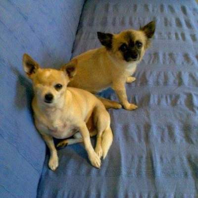 Nelson with girlfriend No. 1, Missy the Muppet.