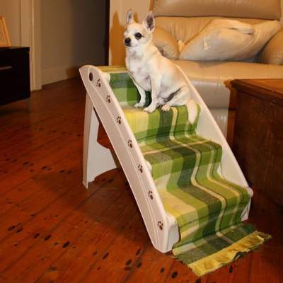 I learned how to do it - I can go up the stairs! From about 5 years ago when the arthritis set in and he could no longer jump up on the couch.