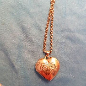 Locket to remember Nelson (Thursday, 23rd of March 2017).