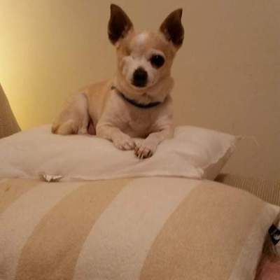 Wotchoo lookin' at Willis?