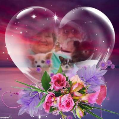 This wonderful image was made by Gail for Rita in May 2014, for when Gizmo died.