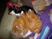 Butler in December 2012 with his best friend! December 2012.