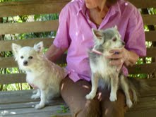 Missy and Percy - gardening is so much fun!