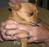 Pic of Girlie