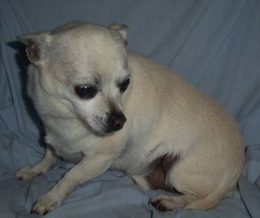 Pic of Lonny