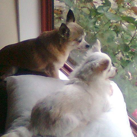 Hooley is on the left with his sister and sparring partner, Lacey. (Wednesday, 23rd of November 2016)