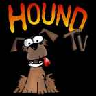 Logo for Channel 31, Hound TV